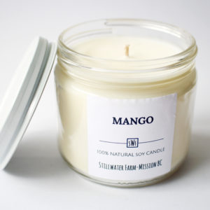 Mango Natural Soy Wax Candle | 8 oz glass
