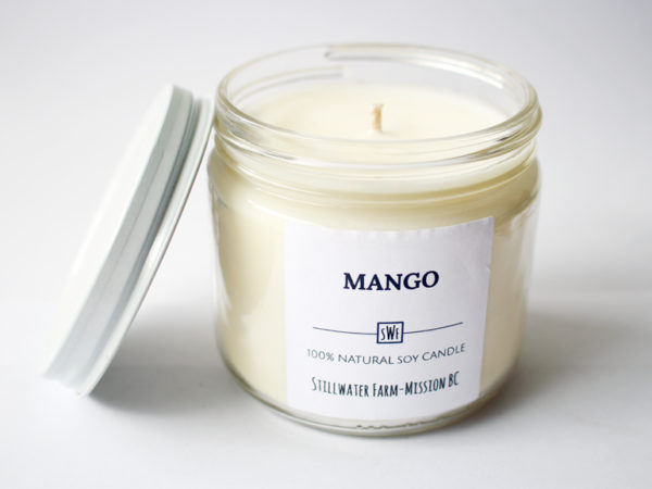 Mango Natural Soy Wax Candle | 8 oz glass