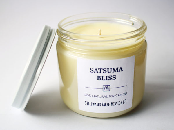 Satsuma Natural Soy Wax Candle | 8 oz glass