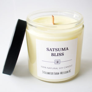 Satsuma Natural Soy Wax Candle | 8 oz wood wick