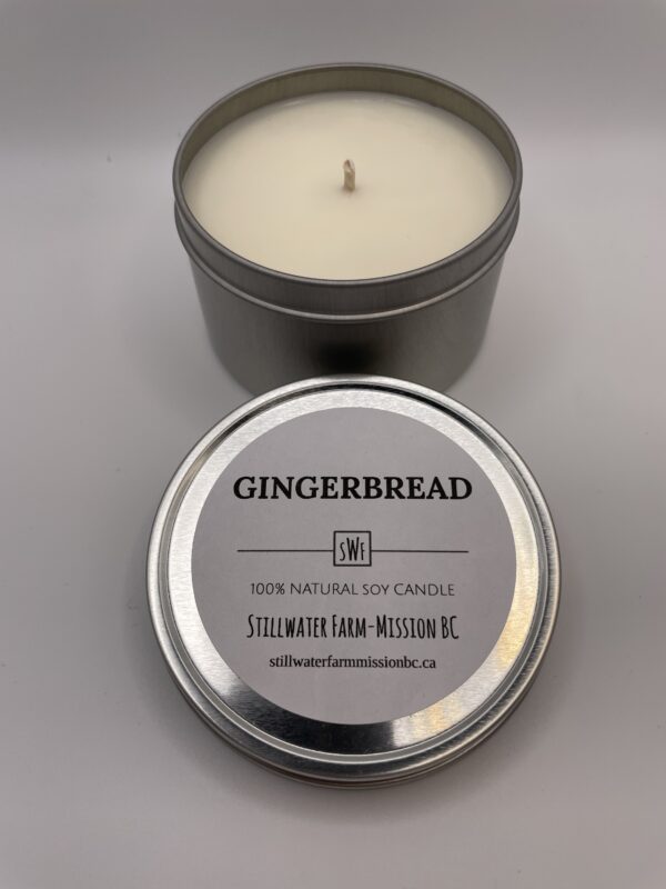 Gingerbread Natural Soy Wax Candle | 8 oz silver tin